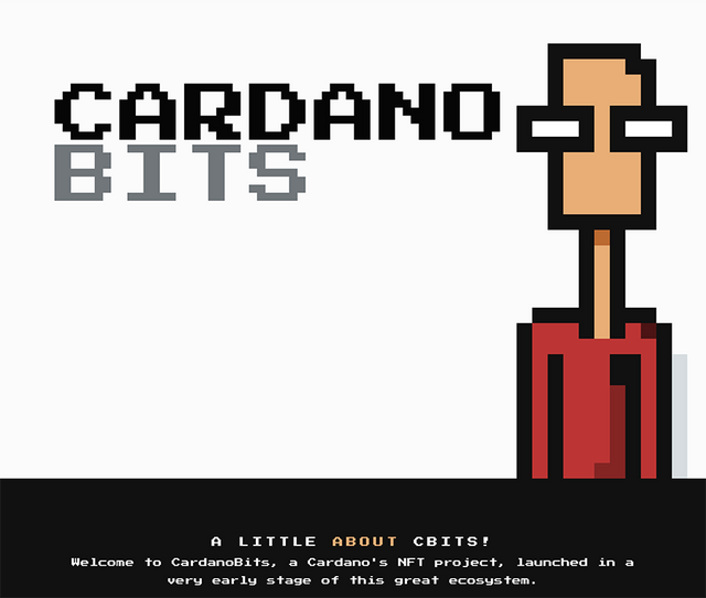 Cardano Bits